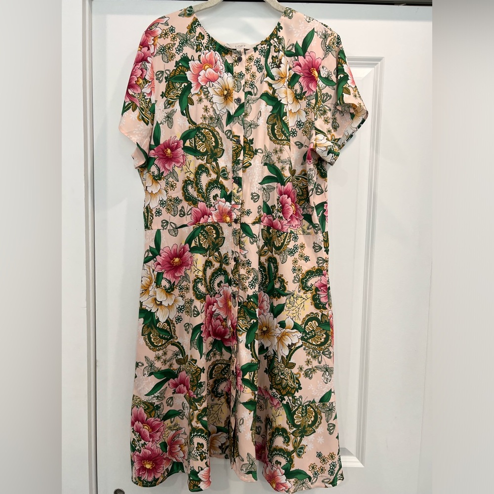Ann Taylor LOFT Size 14 Women's A-Line Pink Green Floral Front Button Dress